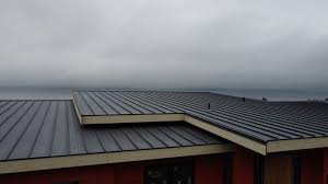 Best Storm Damage Roof Repair  in South Barre, VT